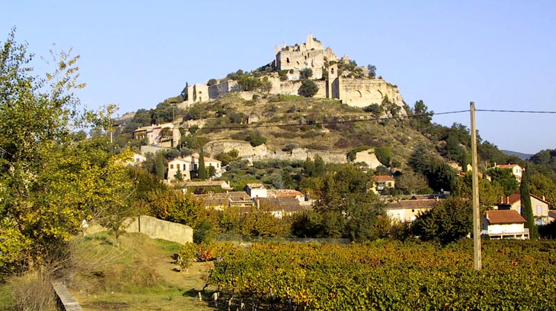 Bronzesommerfuglen flyver oppe ved borgruinen på sydmuren, Entrachaux, Provence okt. 2002. Fotograf: Lars Andersen