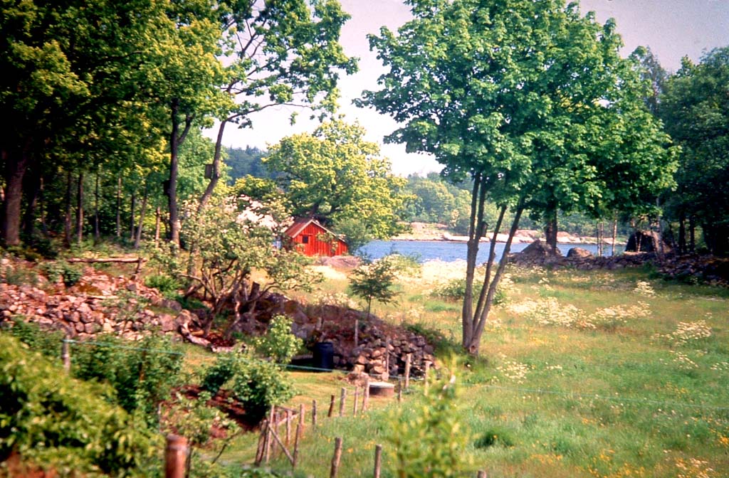 Jarnavik,Blekinge. Juli 1991