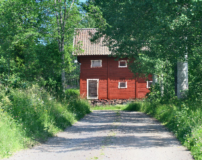 Lokalitet for Poppelsommerfugl, alle' med gamle Bæveraspe, Sundby, Småland, Sverige. d. 4 juli 2006. Fotograf: Lars Andersen