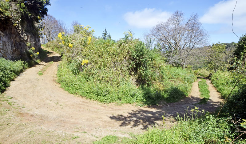 Los Sauces, La Palma, Kanariske øer d. 31 marts 2018. Fotograf; Tom Nygaard Kristensen