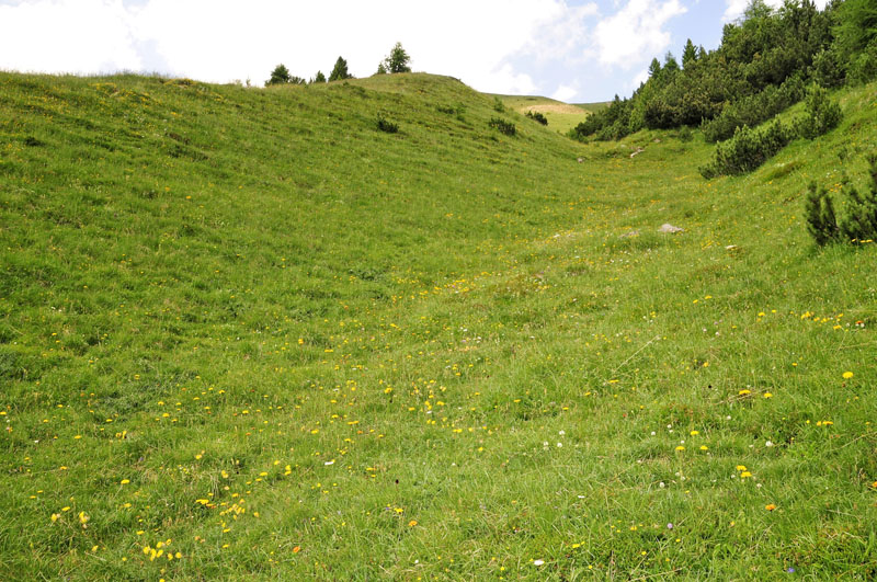 Sortbrun Blfugl, Aricia artaxerxes ssp. allous (Hegh-Geyer, 1836).  Albula Pass, Graunbnden, Schweiz d. 7  juli 2015. Fotograf; Tom Nygaard Kristensen