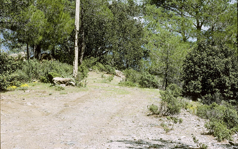 Mt Troodos, Cypern d. 25 april 2005. Fotograf; Tom Nygaard Kristensen