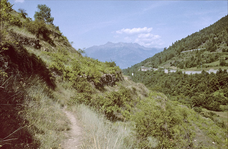 Pondel, Cognetal, Aosta, Italien juli 1996. Fotograf; Tom Nygaard Kristensen