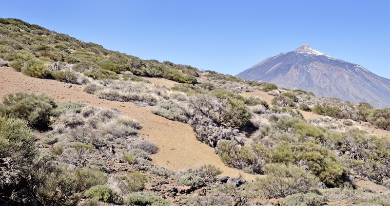 Tenerife d. 3 april 2018. Fotograf; Tom Nygaard Kristensen