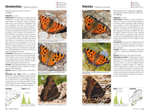 En frhandstitt p tre uppslag ur Nordens fjrilar. Nu r det inte lng tid kvar, 14 maj r dagen D fr bokslpp!  Bo Sderstrm