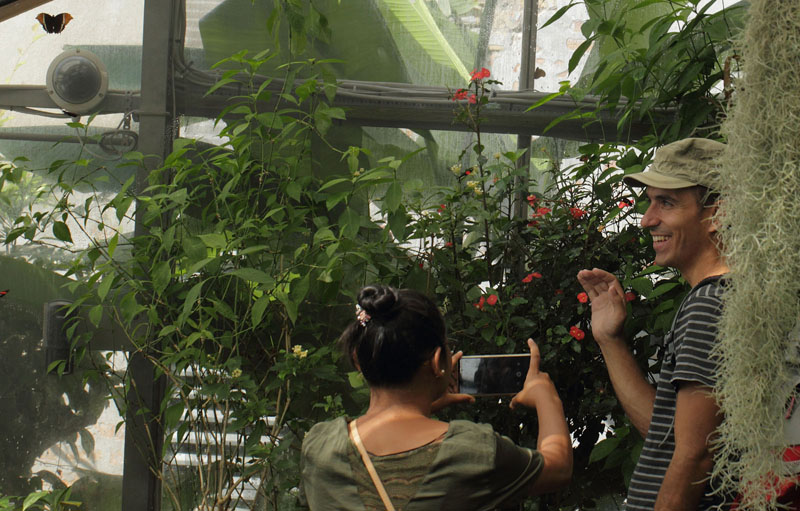 Orkide/Sommerfuglehus, Botanisk Have, Kbenhavn, Danmark d. 7 august 2018. Fotograf; Lars Andersen