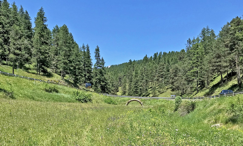 Valberg -Les Launes 1550 m., Parc de Mercantour, Alpes Maritimes d. 8 juli 2019. Fotograf; John S. Petersen