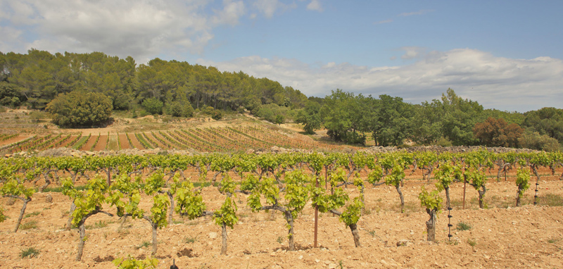 Vallon des Clos, Cortignac, Alpes-Maritimes, Frankrig d. 15 maj 2019. Fotograf; Lars Andersen