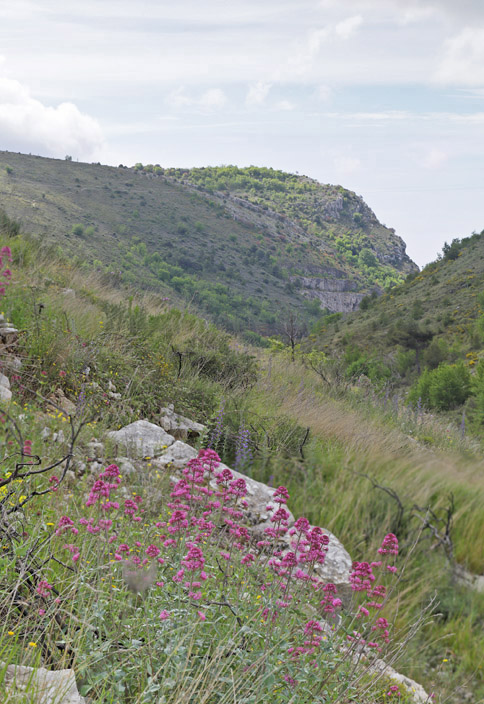 Col de Vence 586 m., Alpes-Maritimes, Frankrig d. 20 maj 2019. Fotograf; Lars Andersen