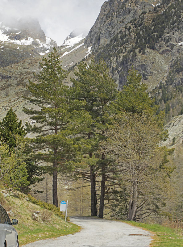 Gordolasque 1650 m.h., Alpes-Maritimes d. 21 maj 2019. Fotograf; Lars Andersen