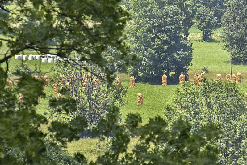 Poronin, Tatrzanska / Tatrabjergene, Polen d. 26 juni 2019. Fotograf; Knud Ellegaard