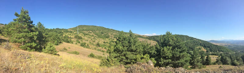 Lokalitet for Pseudochazara tisiphone ved Kor, det sydstlige Albanien d. 11 juli - 2019. Fotograf; Emil Bjerregrd