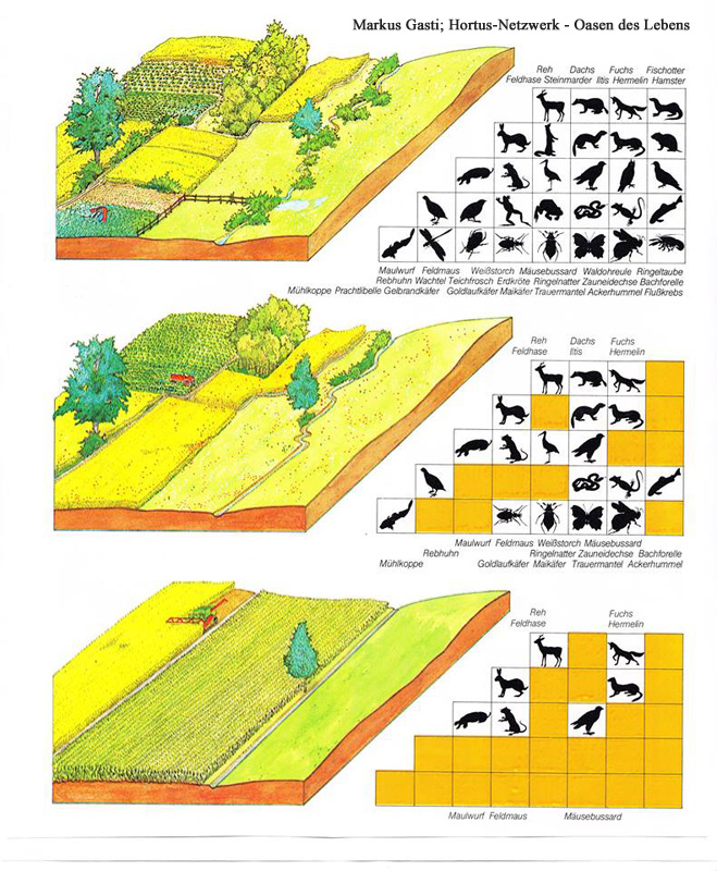 wer knnte folgende graphik auf hortus ummnzen ?