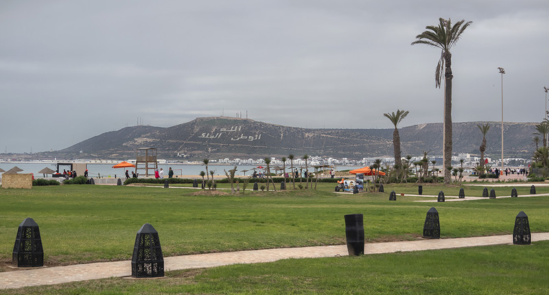 Afrikansk Grsblfugl, Zizeeria knysna han. Agadir, Marokko d 25 november 2018. Fotograf; Knud Ellegaard