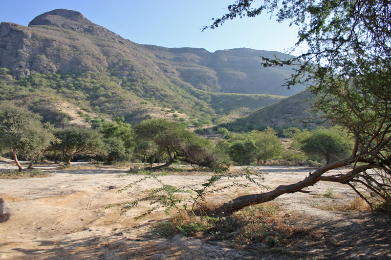 Ayn Hamran, Dhofarbjergene, Oman d. 21 november 2018. Fotograf: Erling Krabbe