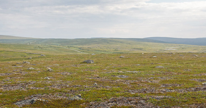 Grønnåsen, Alta, Finnmarken, Norge d. 14 juli 2018. Fotograf; Arne Ileby Uleberg