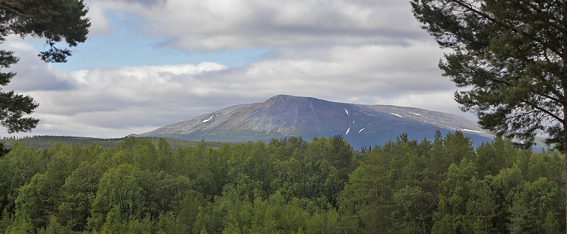 Sonfjllet, Hrjedalen, Sverige d. 25 juni 2018. Fotograf; Lars Andersen