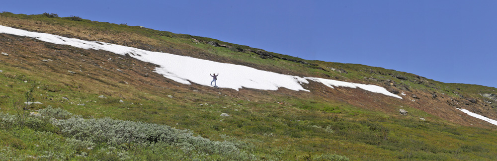 Ramundberget 1070 m.h., Härjedalen, Jämtland, Sverige d. 27 juni 2018. Fotograf; Lars Andersen
