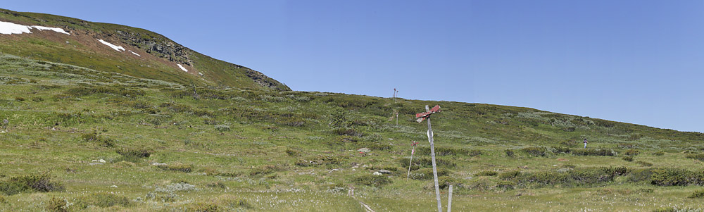 Lokalitet for Fjeldblåfugl, Agriades orbitulus. Ramundberget 1030 - 1050 m.h., Sverige. d. 27 juni 2018. Fotograf; Lars Andersen
