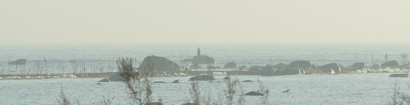 Sandby Sjgata, Egby, land, Sverige d. 14 oktober 2018. Fotograf; Lars Andersen