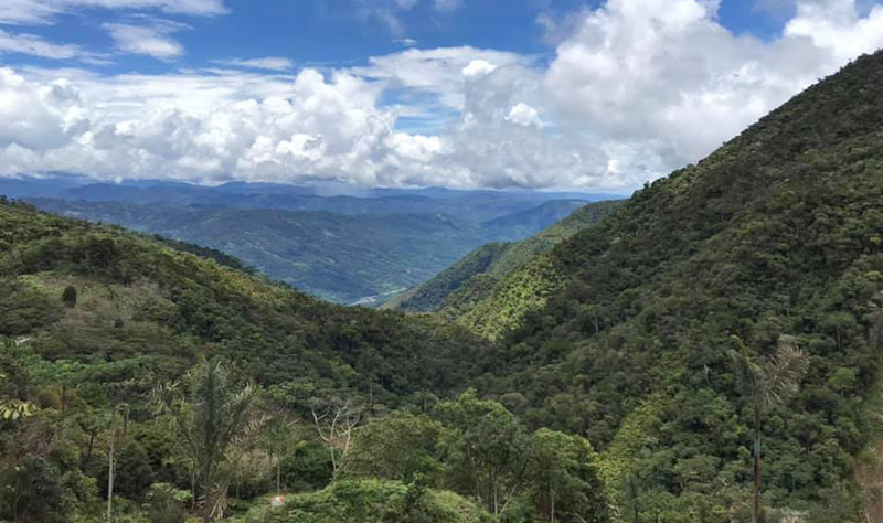 Provincia Caranavi, Yungas, Bolivia d. 17 january 2020. Photographer; Nikolai Kleissl