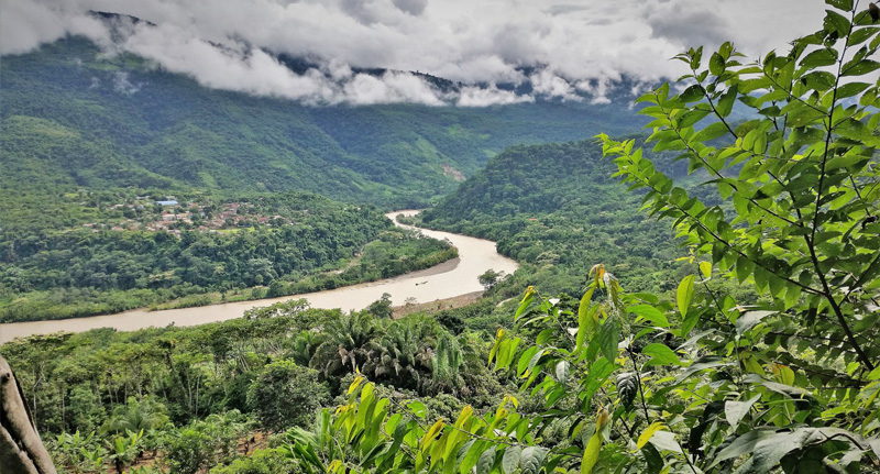 Santa Fe, Caranavi, Yungas, Bolivia  february 12, 2019. Photographer; Peter Mllmann