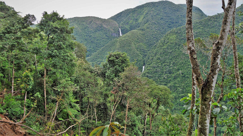 Near Cascadas de Quijarros, Caranavi Highlands, Yungas, Bolivia february 17, 2019. Photographer; Peter Mllmann