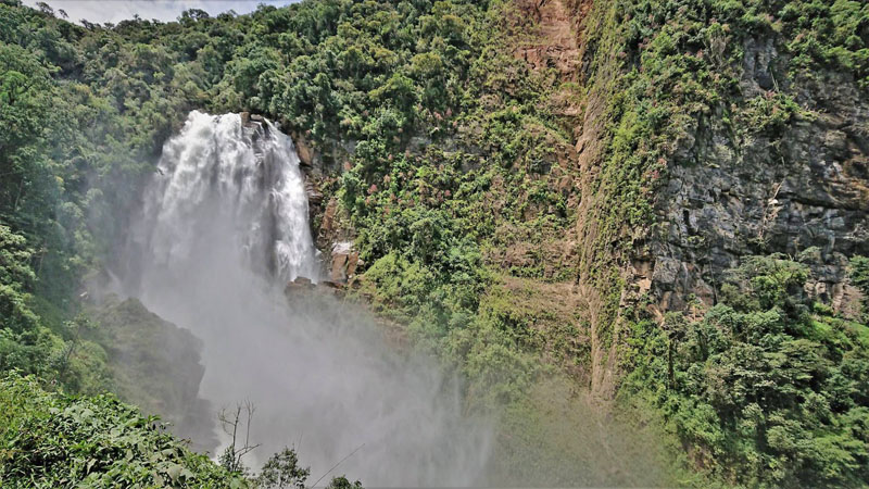 Rincon del tigre, Caranavi Highlands, Yungas, Bolivia january 18, 2019. Photographer; Peter Mllmann