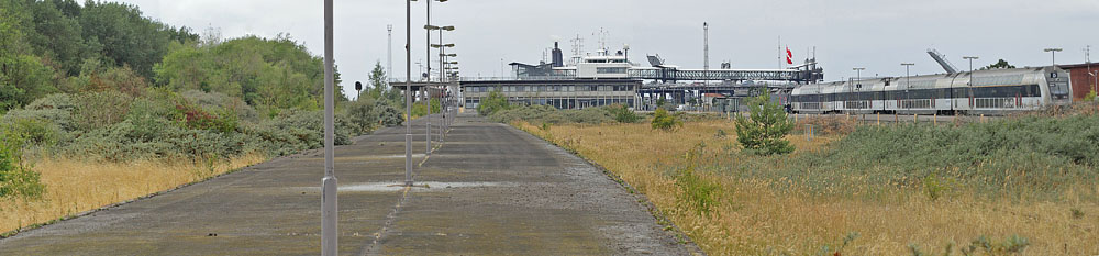 Rdbyhavn Rangerterrn, Lolland d. 19 august 2018. Fotograf; Lars Andersen