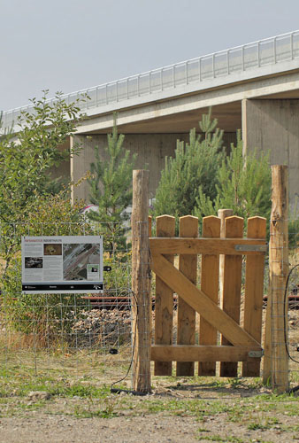 Rdbyhavn Rangerterrn, Lolland d. 19 august 2018. Fotograf; Lars Andersen