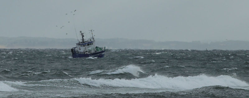 Stormvejr p nordkysten. Gilleleje Strand, Nordsjlland d. 5 august 2018. Fotograf; Lars Andersen