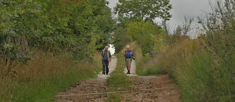 Udsigten, Tibirke Bakker, Nordsjælland d. 29 august 2018. Fotograf; Lars Andersen