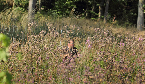 Lokalitet for Skovperlemorsommerfugl, Fabriciana adippe hun. Gunderup Kohave, Stevns, Sjlland d. 13 juli 2018. Fotograf; Lars Andersen