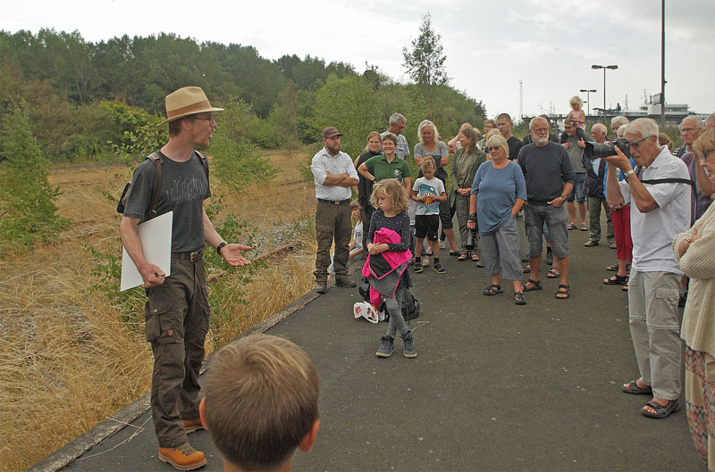 Rdbyhavn Rangerterrn, Lolland d. 19 august 2018. Fotograf; Lars Andersen