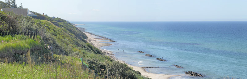 Guldhale, Thecla betulae hun. Holløselund, Nordsjælland d. 24 august 2019. Fotograf; Lars Andersen