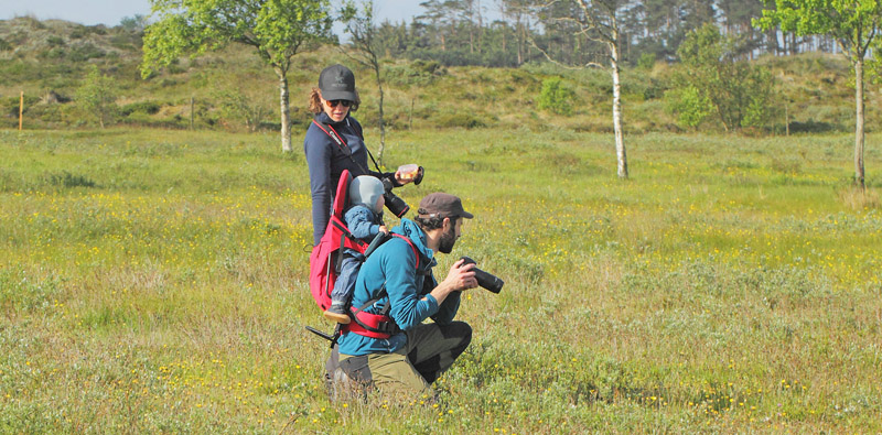 Familie ude og finde Hedepletvinge. Troldkrvej st for Skiveren, Danmark d. 10 juni 2019. Fotograf; Lars Andersen