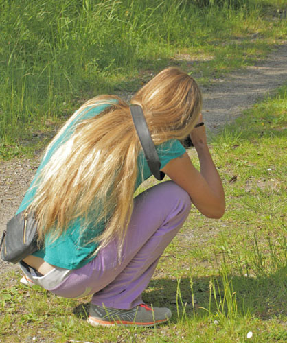 Louise Brel fotografer en Iris, Apatura iris han.Pinseskoven, Vestamager d. 26 juni 2019. Fotografer; Lars Andersen og Louise Brel Flagstad