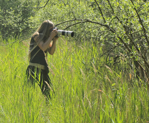 Louise fotograferer en Ilia, Apatura ilia han. Pinseskoven, Amager d. 30  juni 2019. Fotograf; Lars Andersen