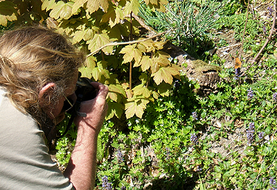 Lars Andersen i Krageskov, Sjlland. Ved at fotograferer Rdlig perlemorsommerfugl. d. 29 April 2007. Fotograf: Peter Mllmann