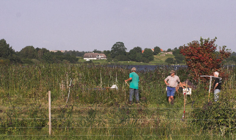 Høslåning på engen ved Bastrup sø. D. 22 August 2007. Fotograf: Lars Andersen