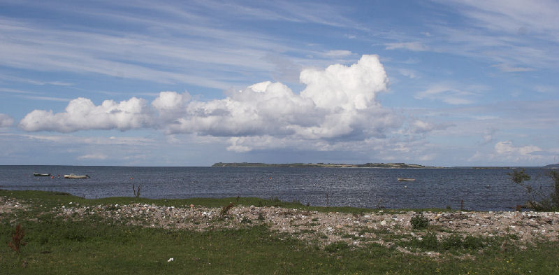 Vesterlyng/Eskebjerg ved Sejerbugten med Neksel i baggrunden, Vestsjlland d. 29 juli 2007. Fotograf: Lars Andersen