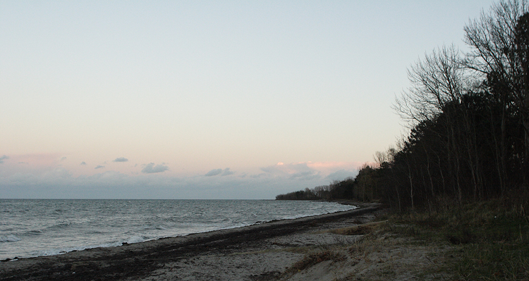 Køge bugt, stranden langs Magleby Skov, Sjælland. 10 November 2007. Fotograf: Lars Andersen