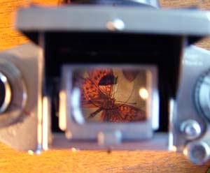 EXA. 1a med NOVOFLEX 1:3,5/35 mm vidvinkelmakro objektiv med 4 trins indbygget mellemringsystem! Verdens frste brugbare kamera til makrofotografering i felten fra 1950rne. Her ses motivet igennem skaktsgeren. Sundby d. 24 april 2007. Fotograf: Lars Andersen