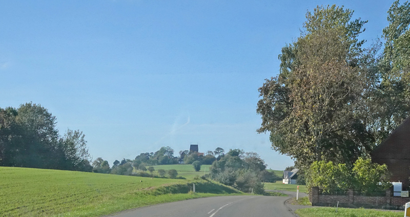 Vejrandje, Lasiommata megera. Ruts Kirke, Bornholm d. 9 oktober 2021. Fotograf; Lars Andersen