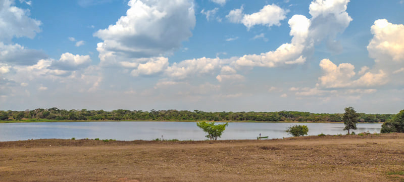 Porvenir, Remanso, Rio Paraguaen el frente Parque Noel Kempff, Bolivia october 4, 2021. Photographer; Gottfried Siebel 