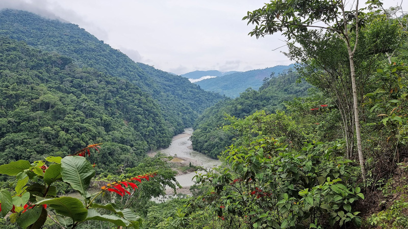 Rio Zongo, Caranavi Highlands, Yungas, Bolivia  november 23, 20121 Photographer; Peter Mllmann