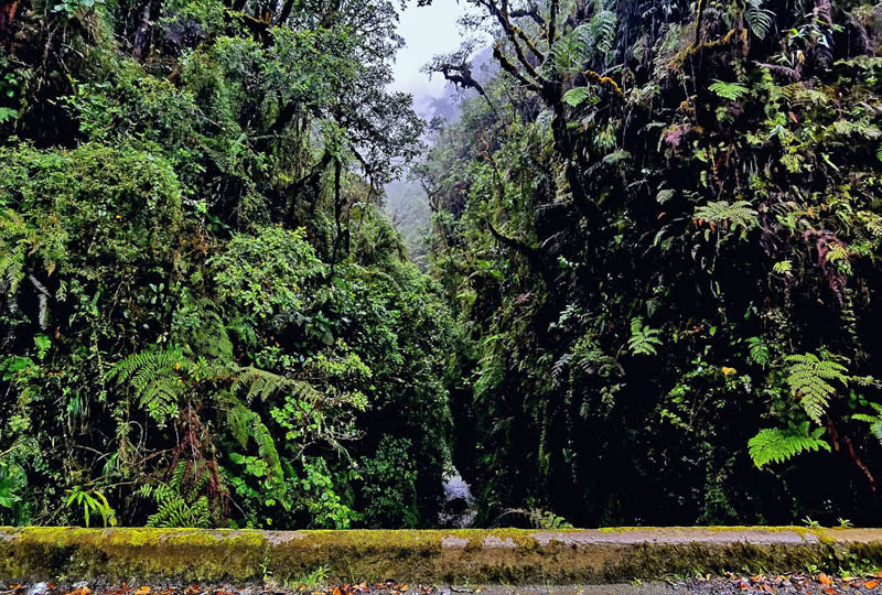 Death Road 2600 m., Yungas, Bolivia december 5, 2021. Photographer;  Nikolaj Kleissl