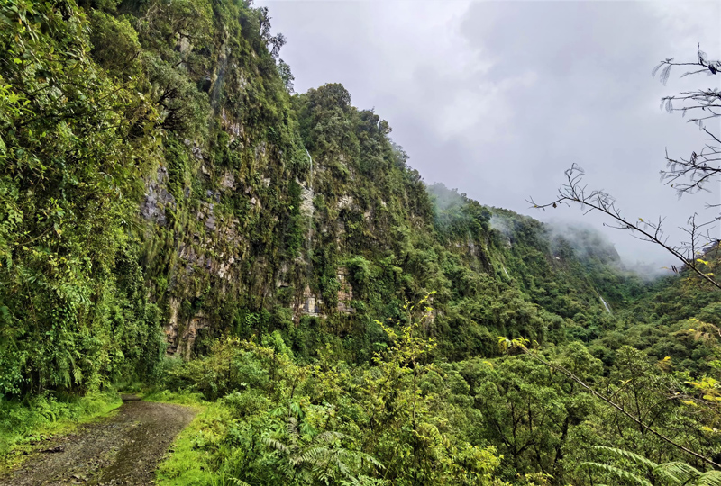 Death Road 2400 - 2600 m., Yungas, Bolivia december 5, 2021. Photographer; Nikolaj Kleissl