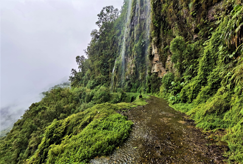 Death Road 2400 - 2600 m., Yungas, Bolivia december 5, 2021. Photographer; Nikolaj Kleissl