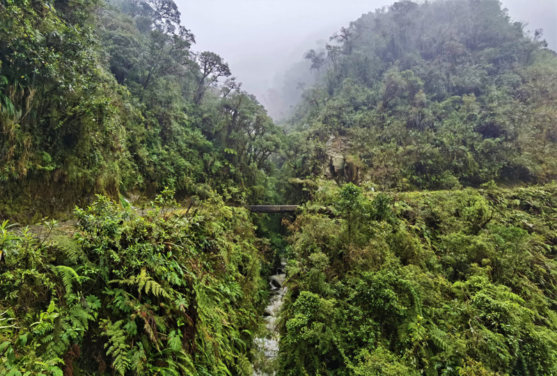 Death Road 2400 - 2600 m., Yungas, Bolivia december 5, 2021. Photographer; Nikolaj Kleissl